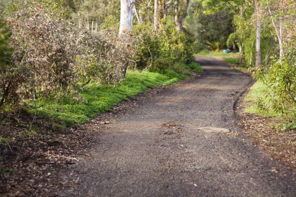 windy trail